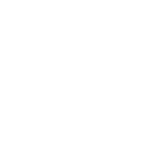 Snug Concerts